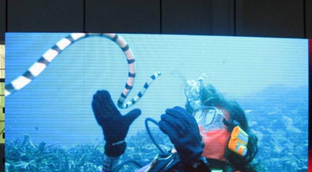 美股四次熔斷，會對室內全彩led顯示屏行業造成怎樣的影響呢