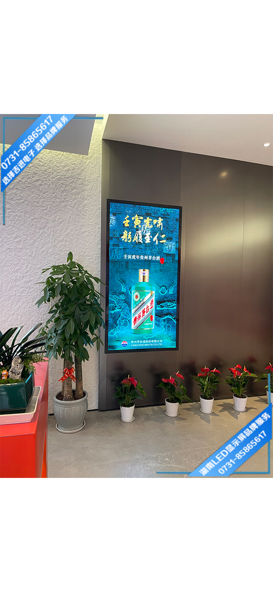 長(zhǎng)沙岳麓區(qū)某連鎖專柜LED顯示屏